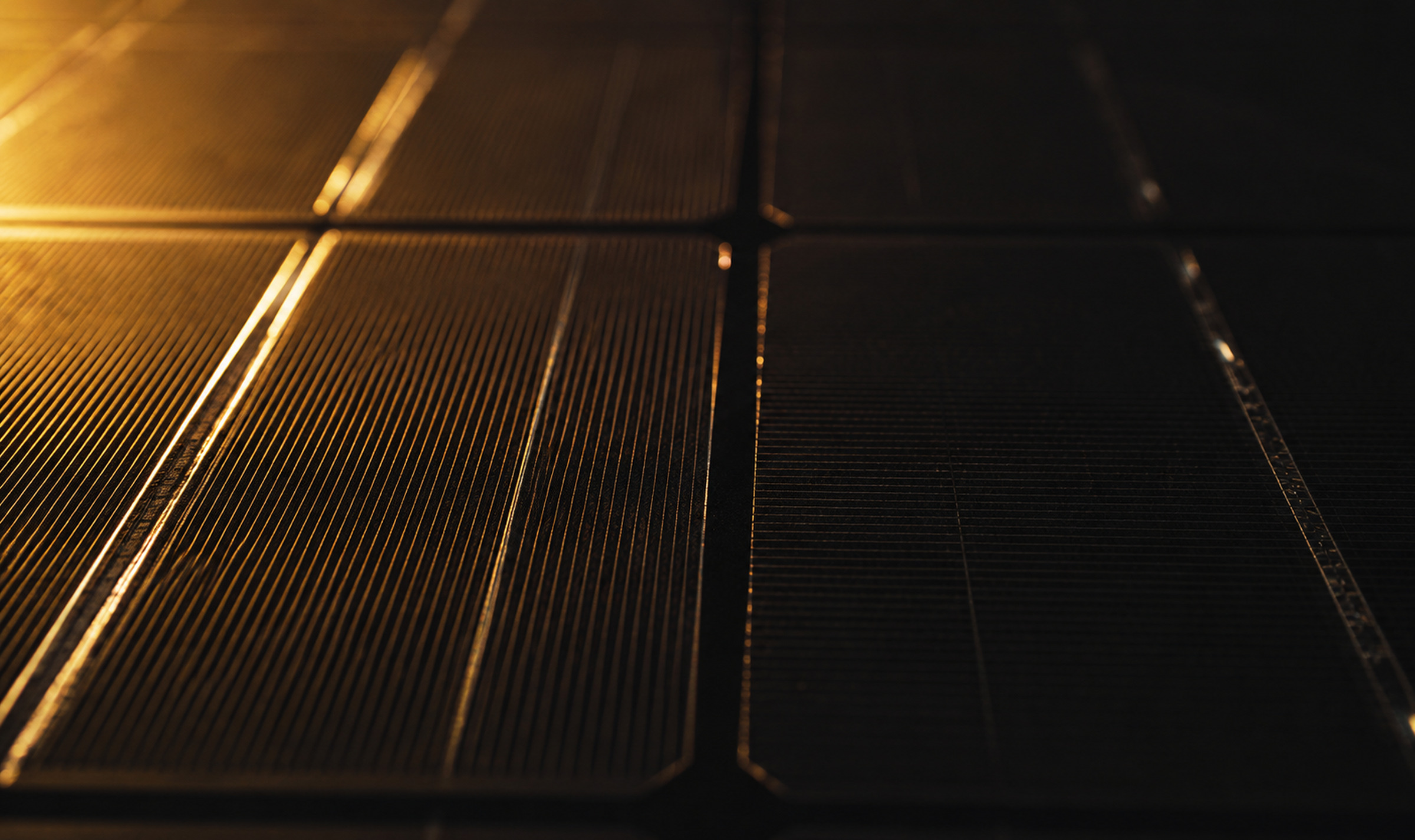 The surface of a photovoltaic module in near darkness, its cell fingers and busbars catching a single amber light raking in from the left